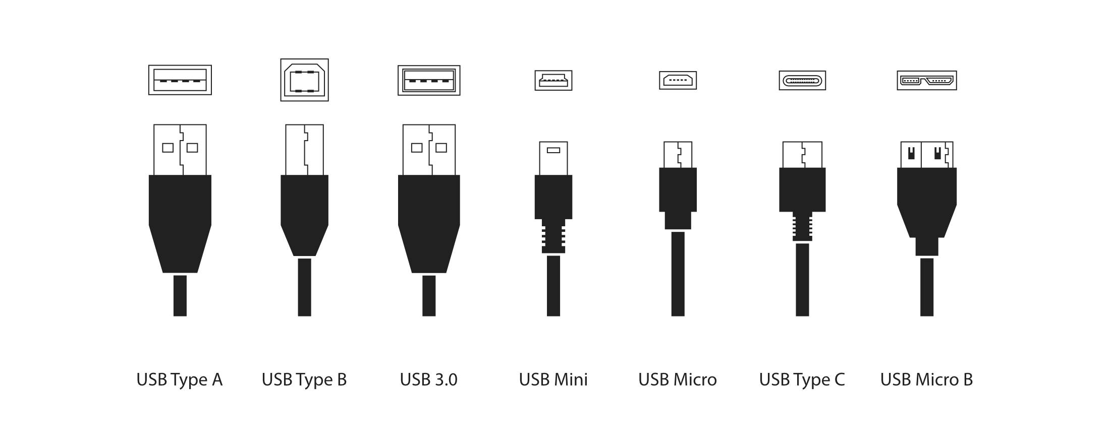 Eine Übersicht über die verschiedenen USB-Kabel und Stecker.